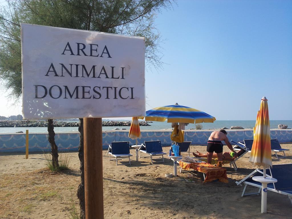 Hotel Paloma Beach Front Chiringuitos Time Rimini Buitenkant foto